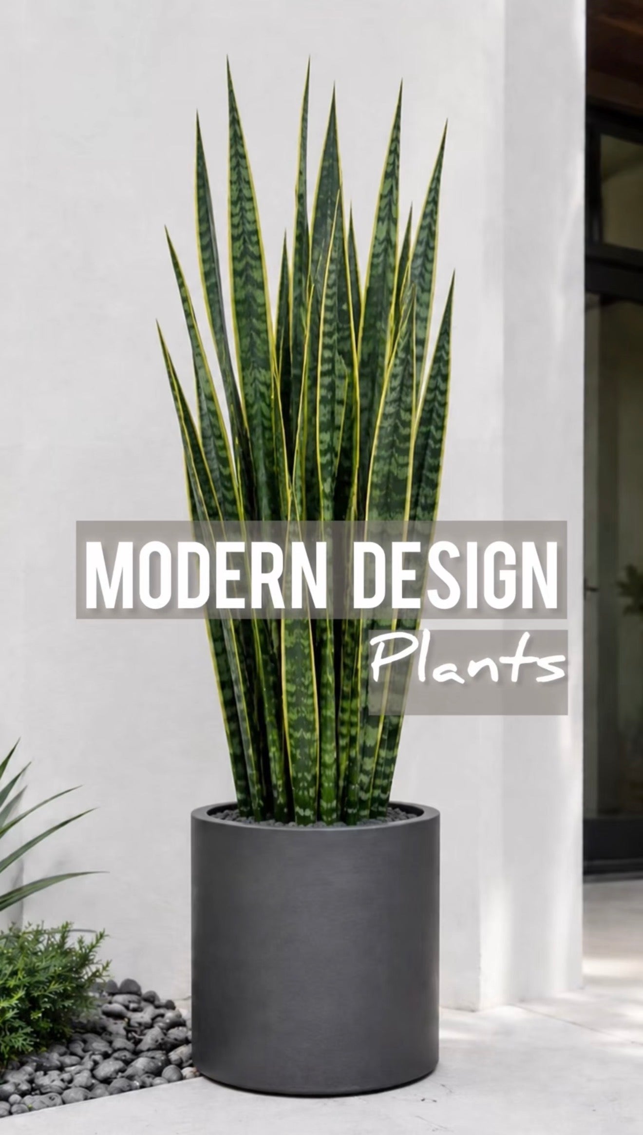 Plants and Their Form in Modern Design: Shape, Style & Impact