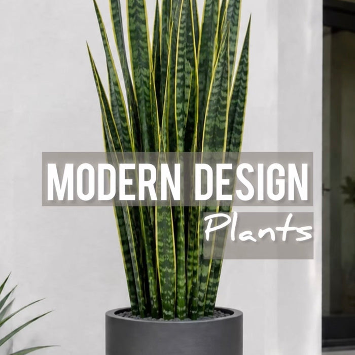 Plants and Their Form in Modern Design: Shape, Style & Impact