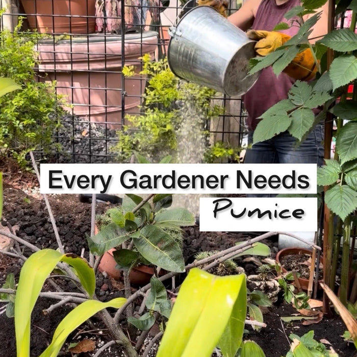 Why Every Gardener Needs Pumice