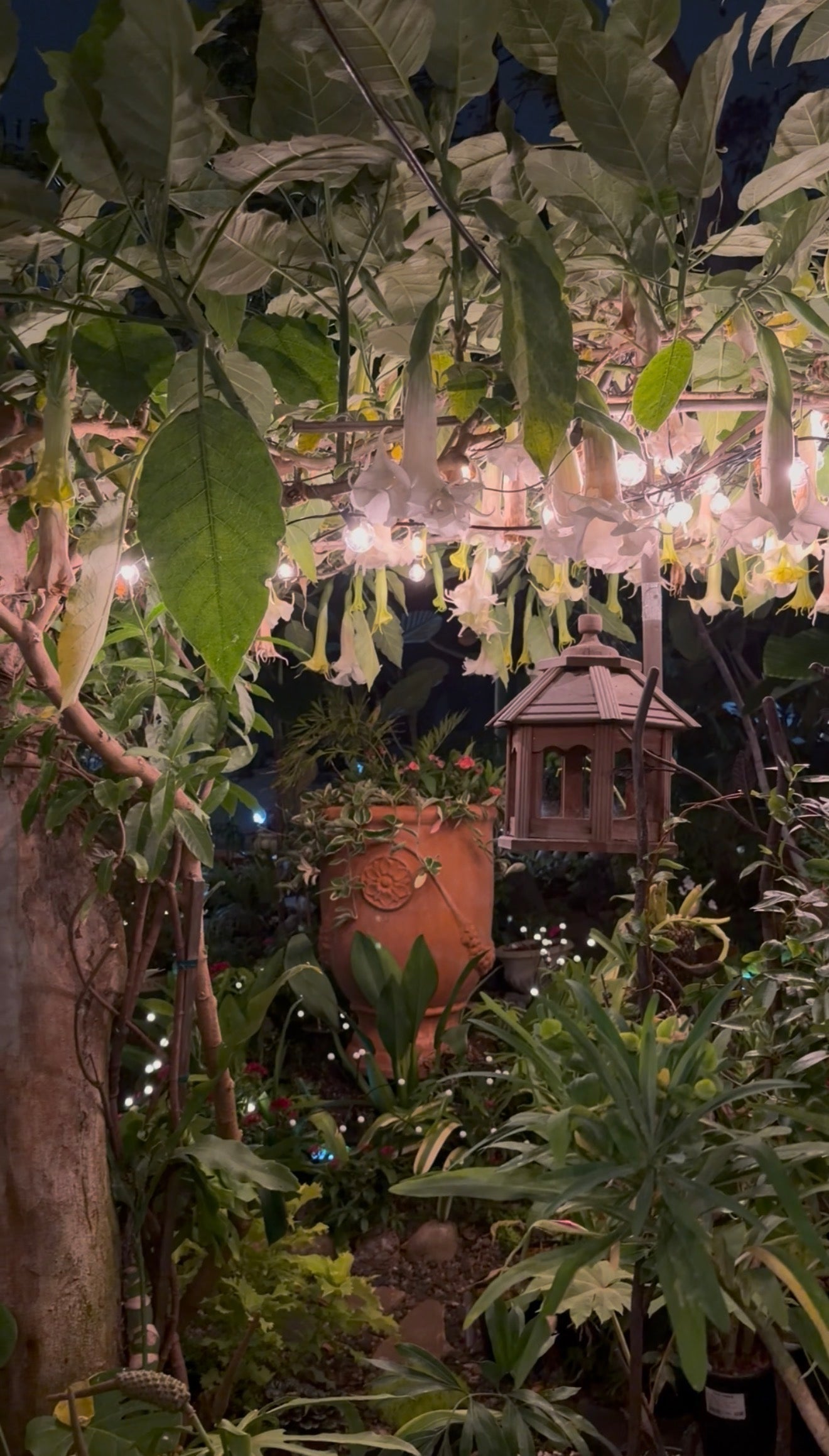 Outdoor Shade Solutions: Beautiful Garden Umbrella Ideas
