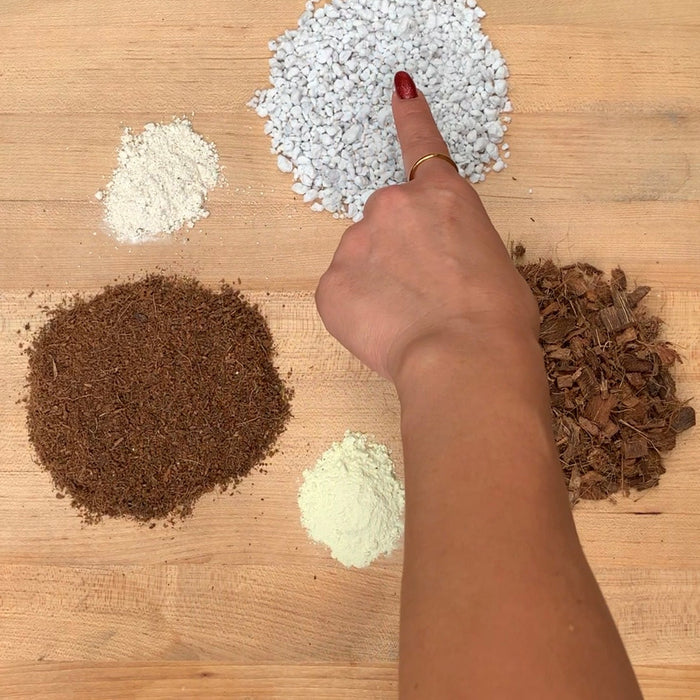 Benefits of Perlite for Plants: How This Soil Amendment Improves Drainage, Aeration, and Root Growth