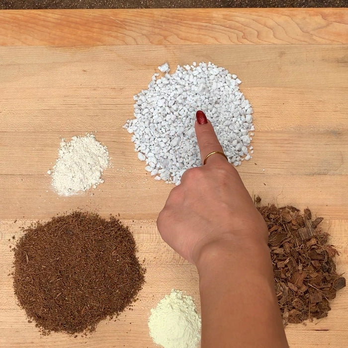 Benefits of Perlite for Gardening: Why Every Gardener Should Use It