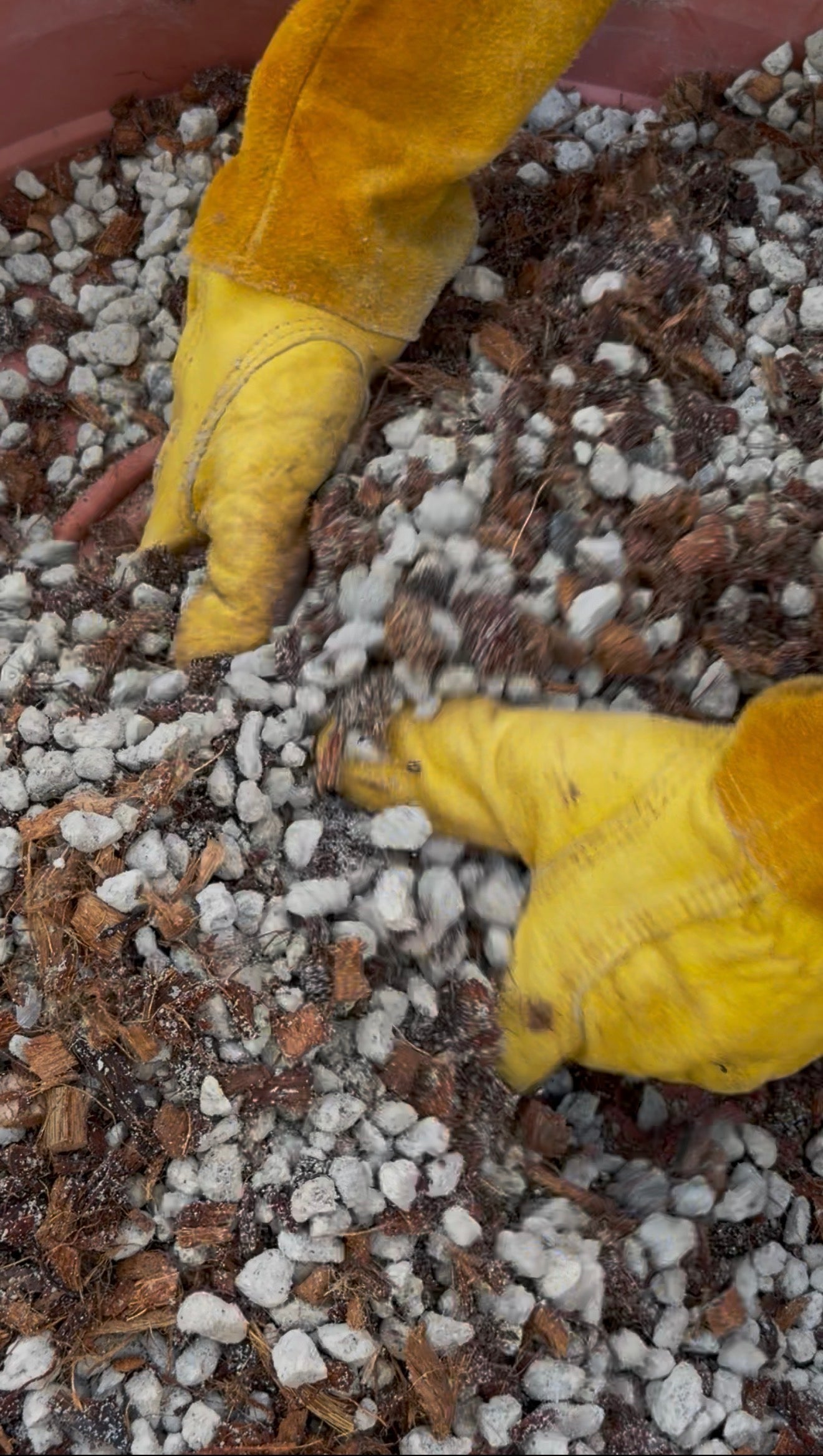 The Complete Guide to Using Pumice for Gardening
