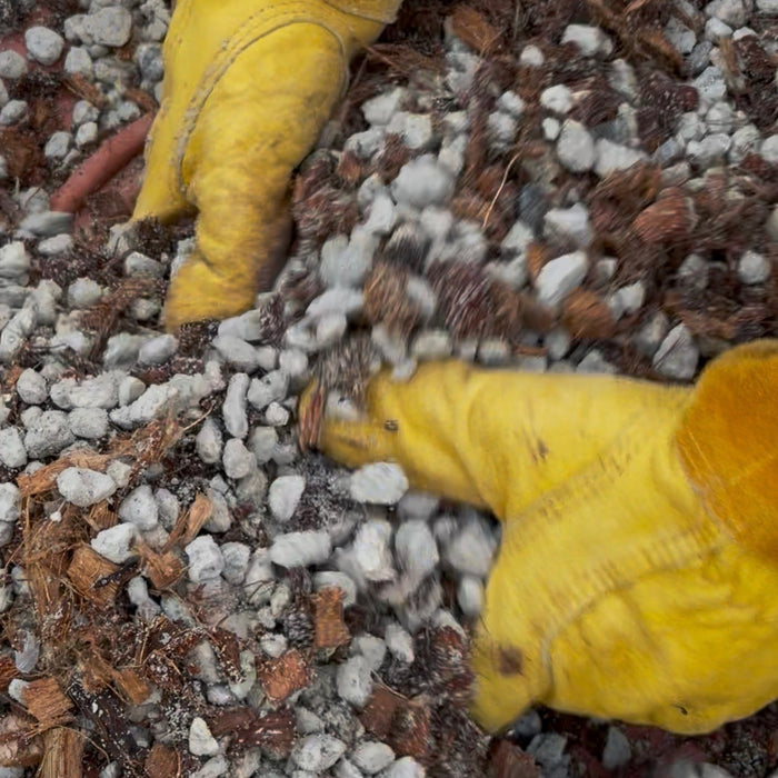 The Complete Guide to Using Pumice for Gardening