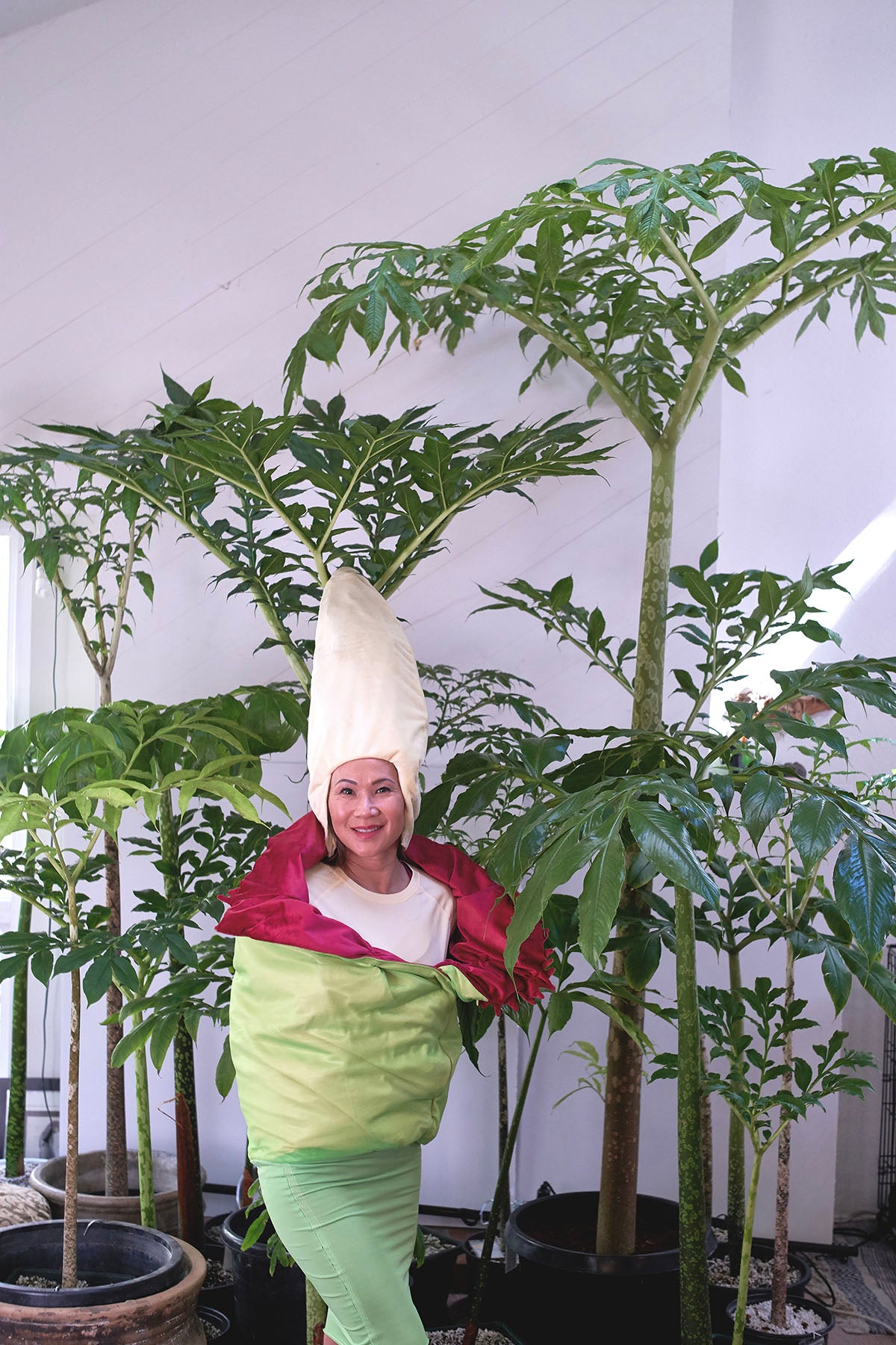 Creative Amorphophallus Titanum Plant Halloween Costumes, Costume Ideas