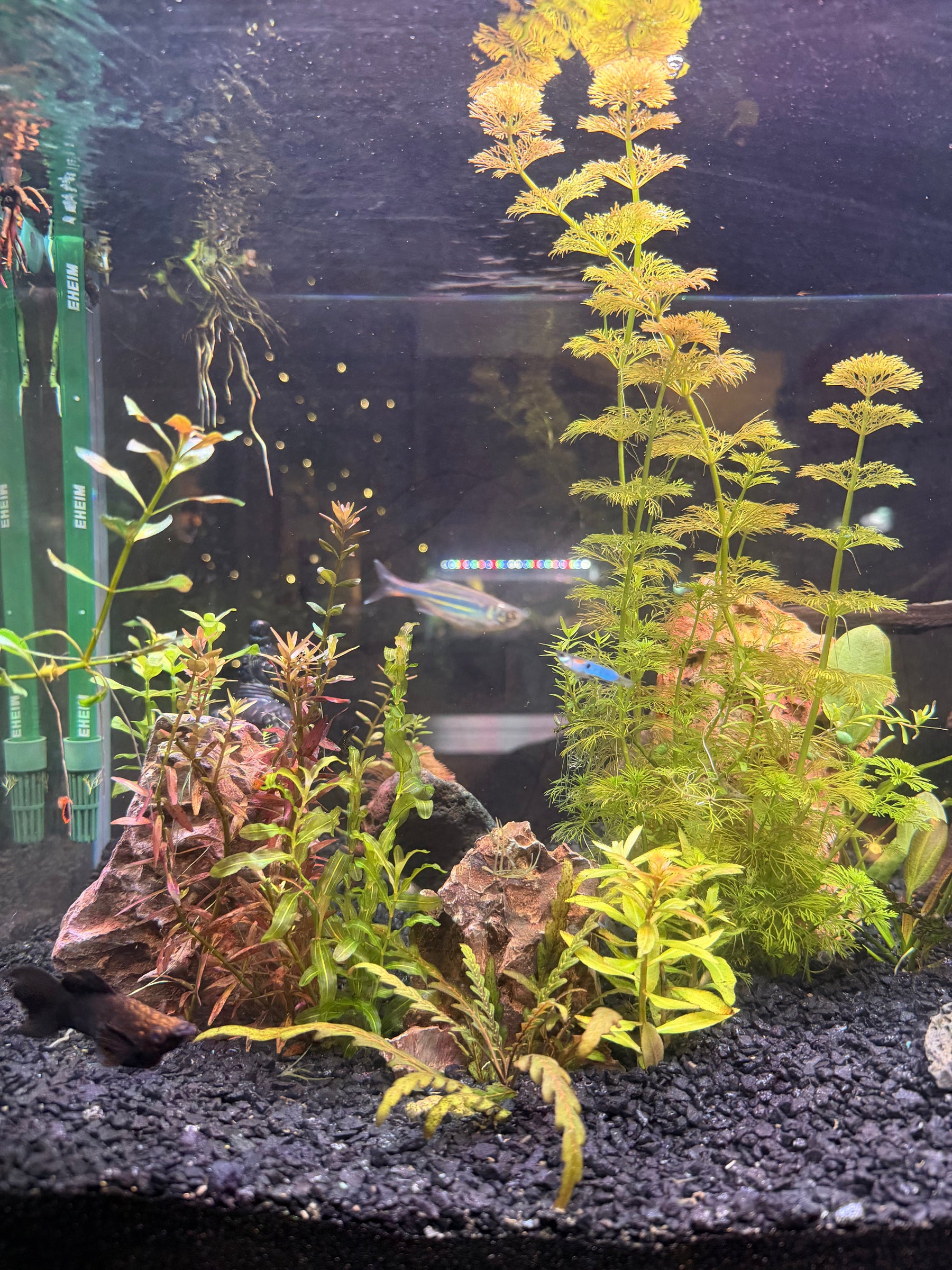 List of States That Have Hard Water