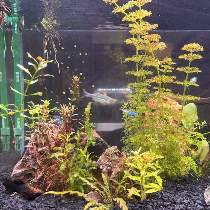 List of States That Have Hard Water