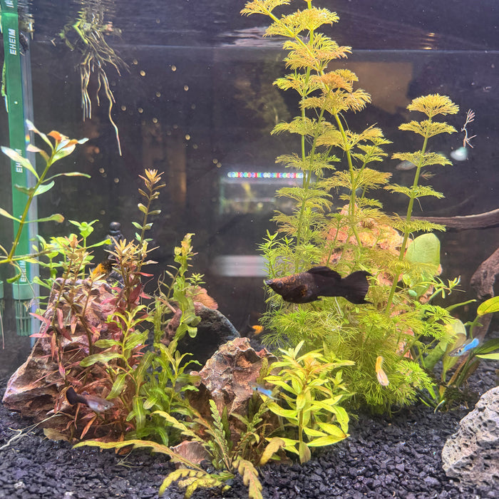 How to Know if We Have Hard Water