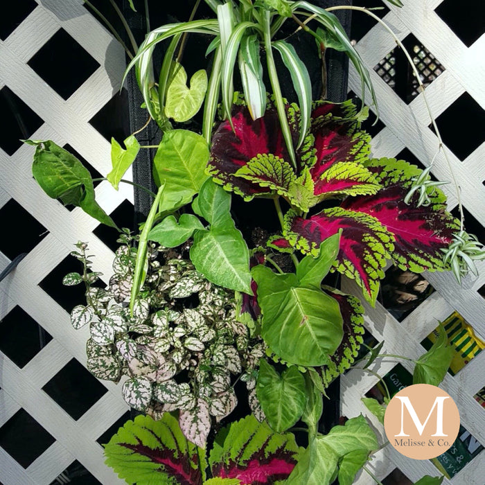 Ideas for Designing Your Vertical Planting Arrangements