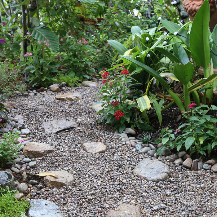 Garden and Landscape Design Trends