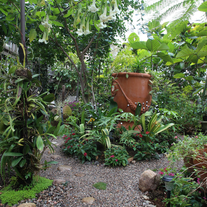 Garden Path Design Ideas with Stone Pavers