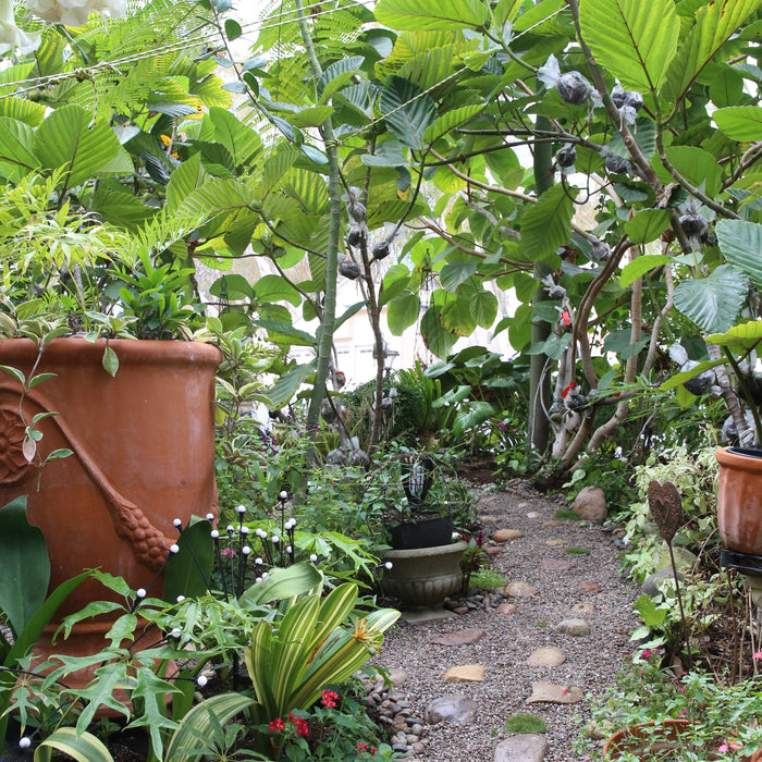 Most Common Landscape Design Topics Among homeowners, Designers and Gardeners