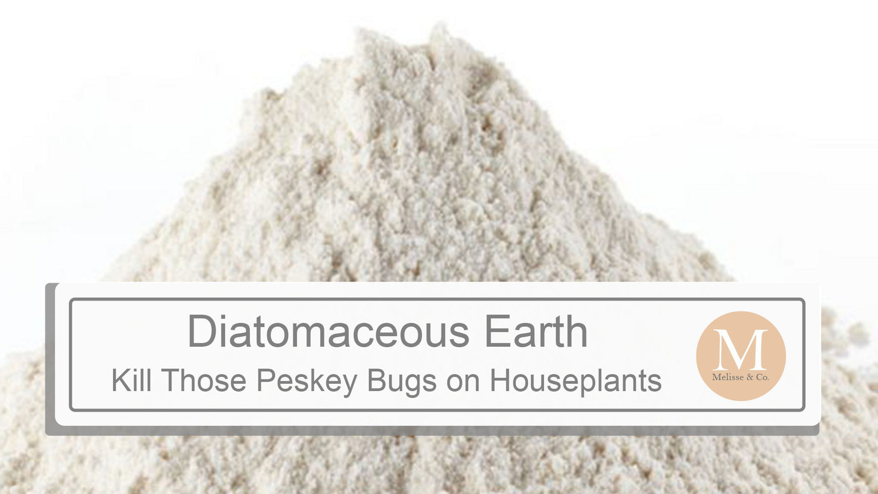 Benefits of Diatomaceous earth for Houseplants