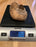 Amorphophallus Hewittii Corm Tuber for Sale